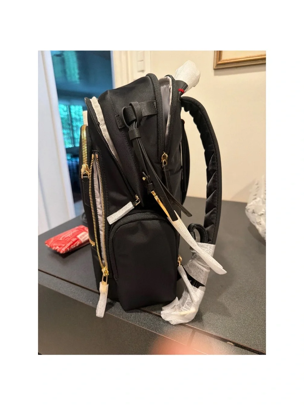 Brand New Tumi Backpak Explorer